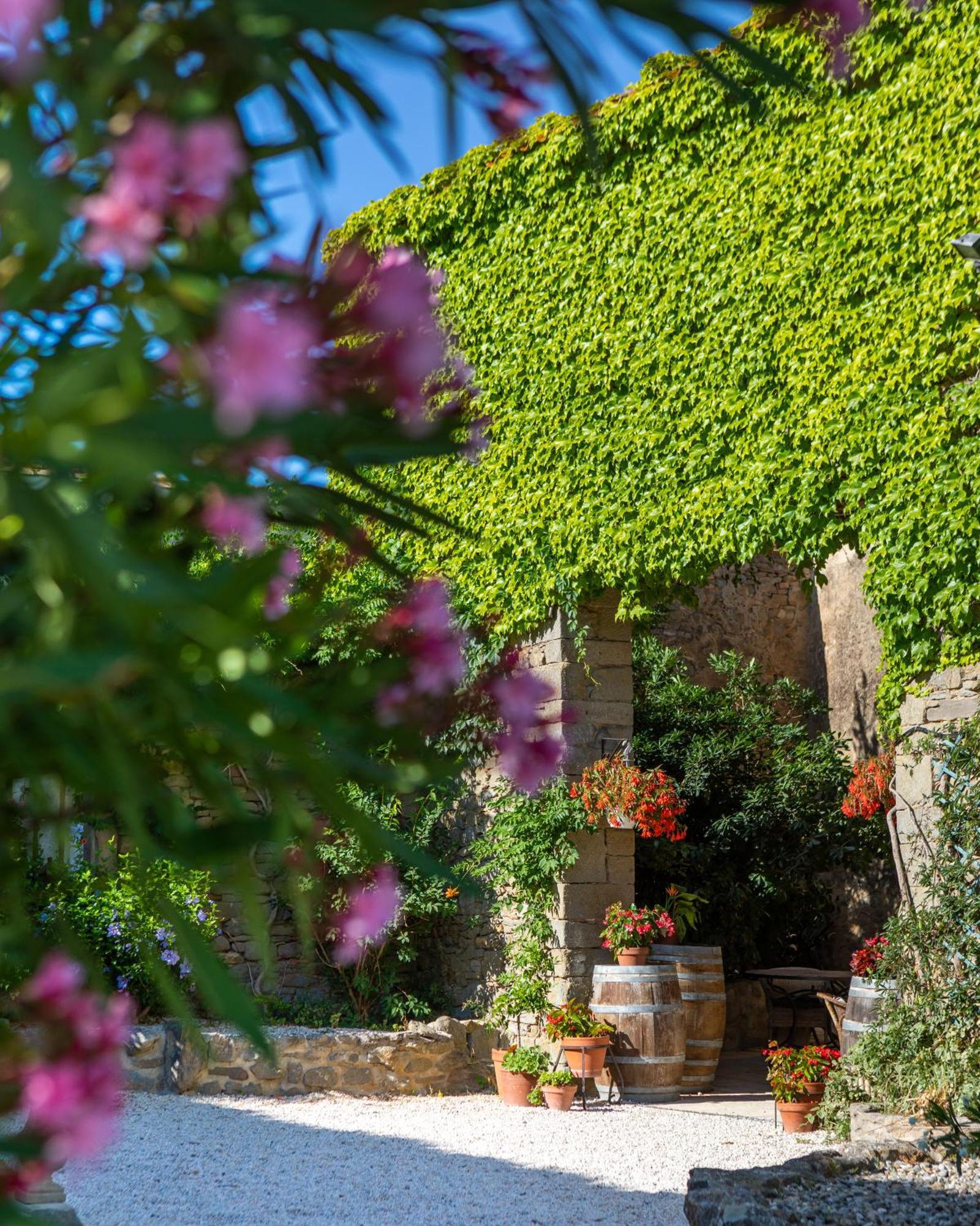 Laure-Minervois Domaine De Palats旅馆 外观 照片