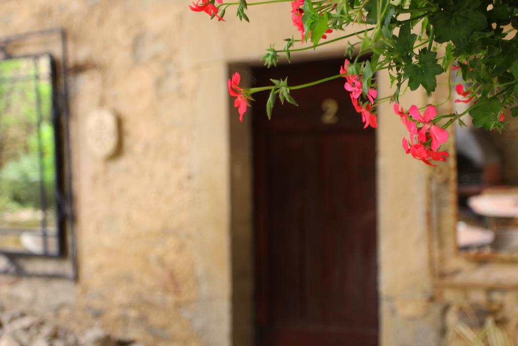 Laure-Minervois Domaine De Palats旅馆 外观 照片
