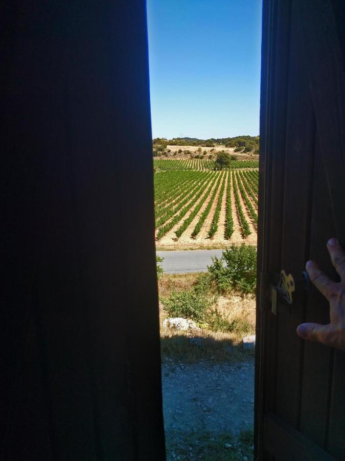 Laure-Minervois Domaine De Palats旅馆 外观 照片