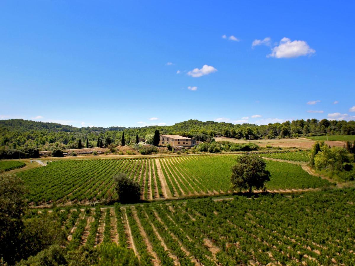 Laure-Minervois Domaine De Palats旅馆 外观 照片